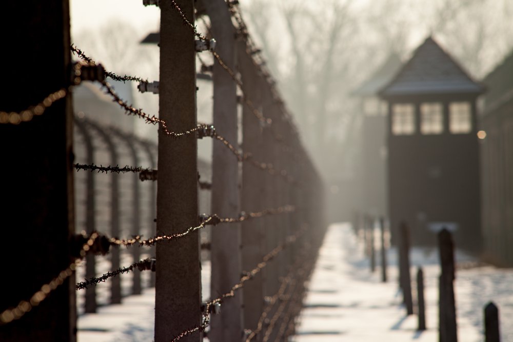 Americans Believe Holocaust Education Is Important, but Survey Finds Gaps inTheir Knowledge