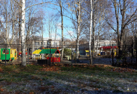 Сестрорецкий детский сад №28