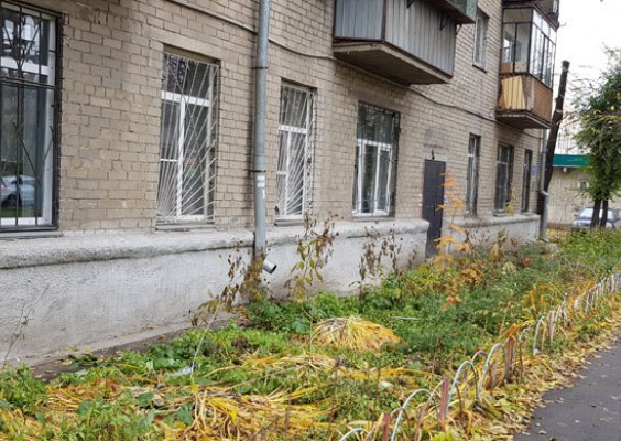 Челябинский детский сад №106 (ясли)