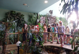 Уфимская средняя школа №77