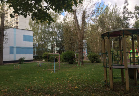 Московская средняя школа №1095