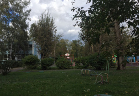 Московская средняя школа №1095