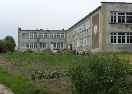 Муниципальное бюджетное общеобразовательное учреждение «Беловская средняя общеобразовательная школа №1»