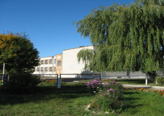 Березовский детский сад - средняя школа