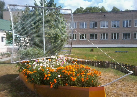 Бывальковский детский сад - средняя школа