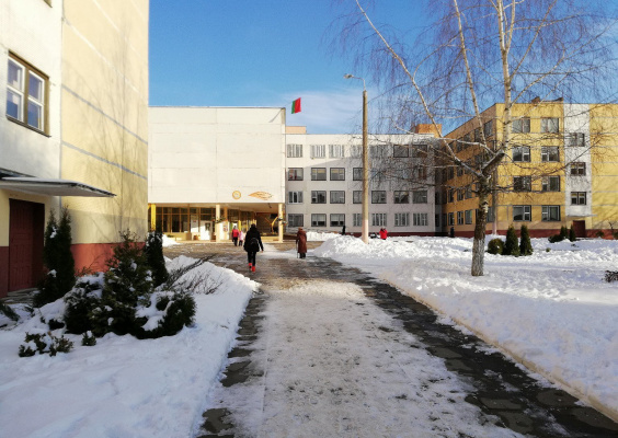 217 школа красносельского
