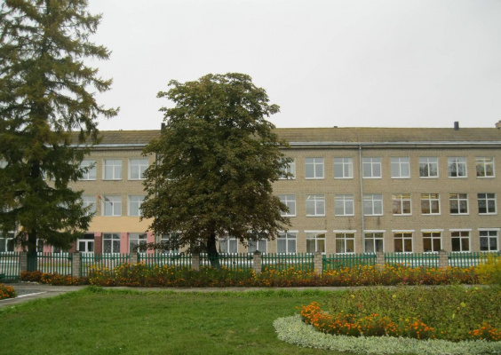 Кричевская средняя школа №5
