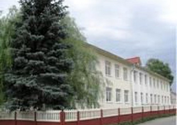Видзовская средняя школа