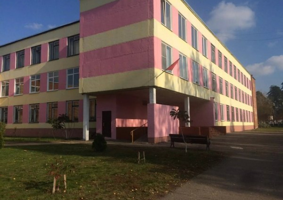 Боровская средняя школа