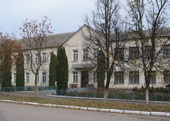 Андрушівська гімназія Житомирської області