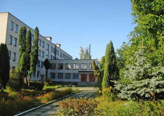 Радомишльська гімназія Житомирської області