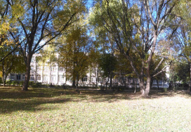 Рязанская средняя школа №9