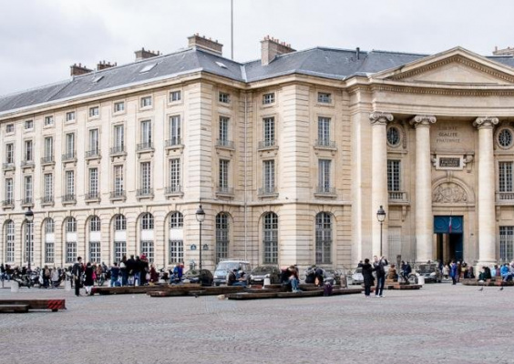 Service commun universitaire d'accueil, d'orientation et d'insertion professionnelle de l'université Paris 2