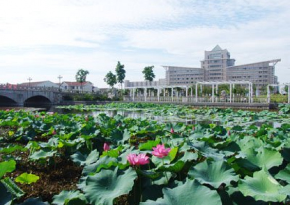 江苏理工学院