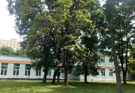 Московская средняя школа №167