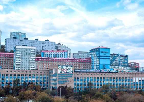 Vladivostok State University of Economics and Service