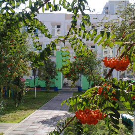 Московский детский сад №2463 (Отделение 6 "Семицветик" школы №2009)