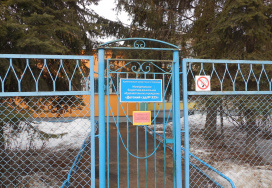 Нижегородский детский сад №325 &quot;Ромашка&quot;