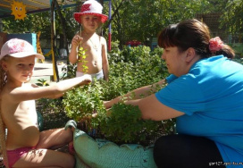 Муниципальное бюджетное дошкольное образовательное учреждение детский сад общеразвивающего вида № 27 Казачок