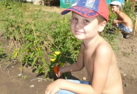 Муниципальное бюджетное дошкольное образовательное учреждение детский сад общеразвивающего вида № 27 Казачок