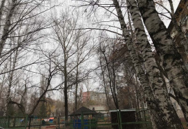 Пензенский детский сад №130