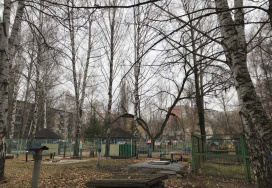 Пензенский детский сад №130