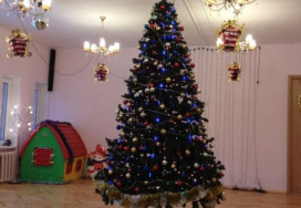 Государственное бюджетное дошкольное образовательное учреждение детский сад № 133 компенсирующего вида Выборгского района